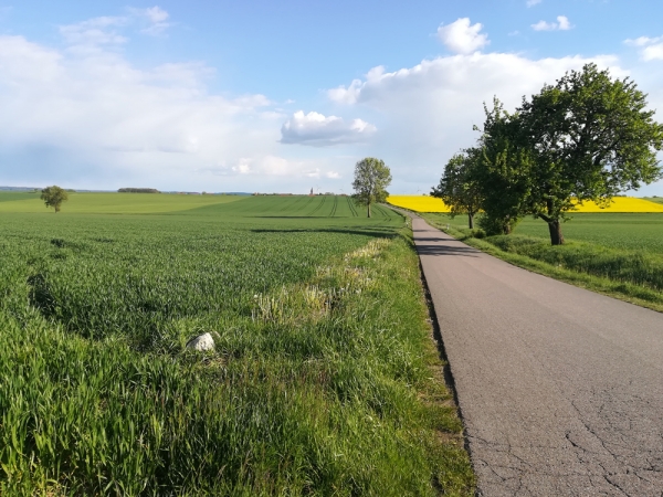 02 - (c) E Rockstroh.jpg